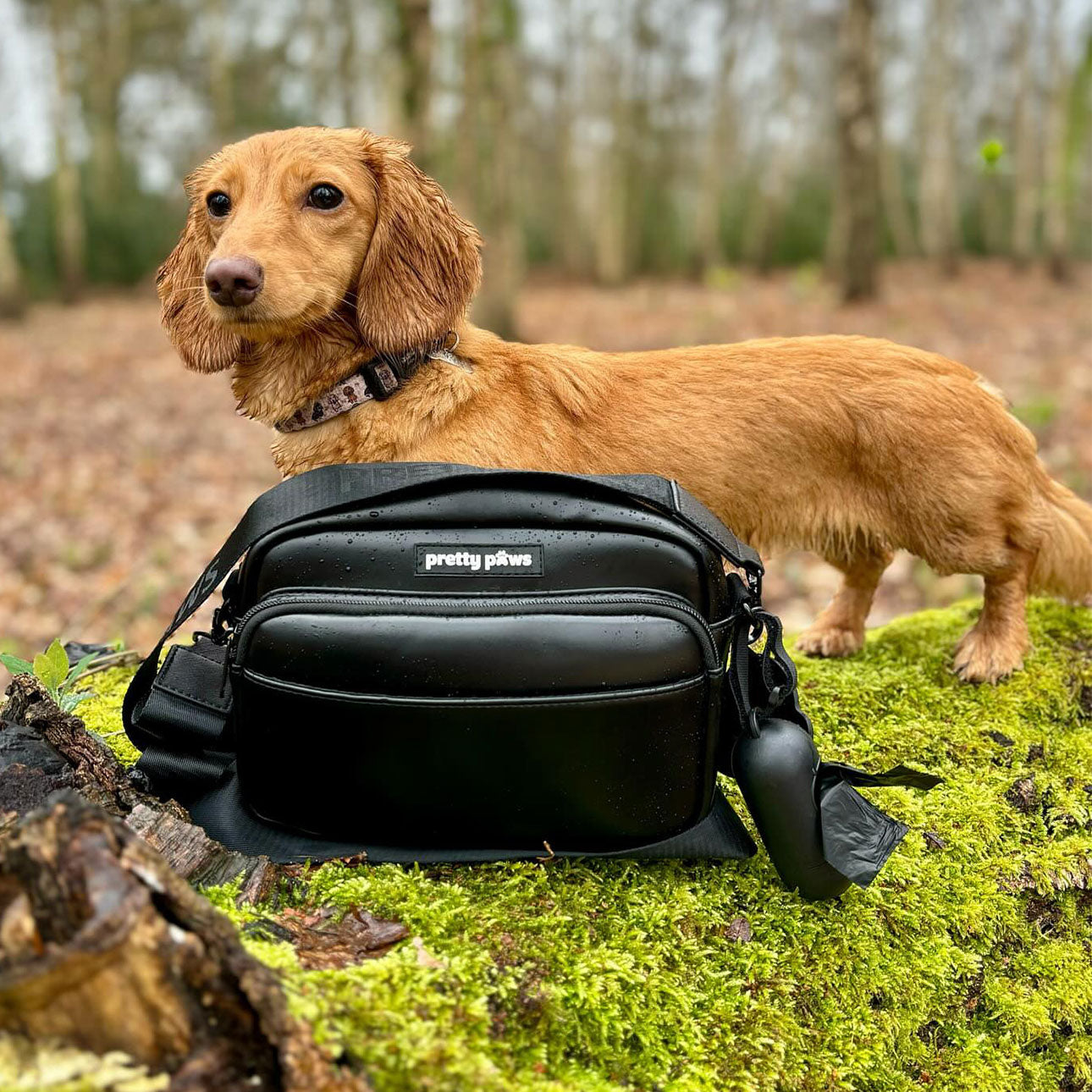 Black Dog Walking Bag