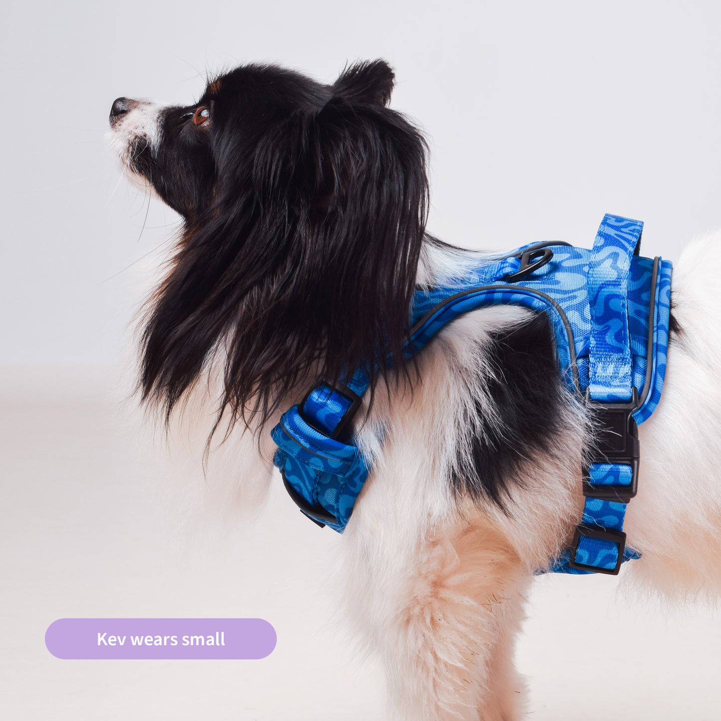 Blue Wave Harness