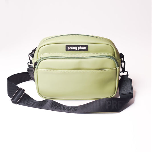 Green Dog Walking Bag