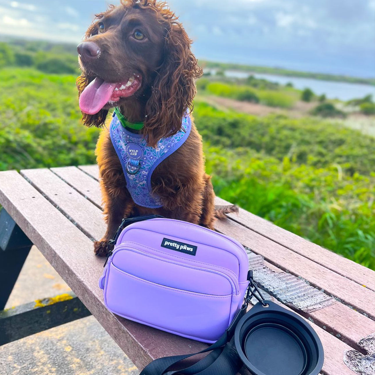 Lilac Dog Walking Bag