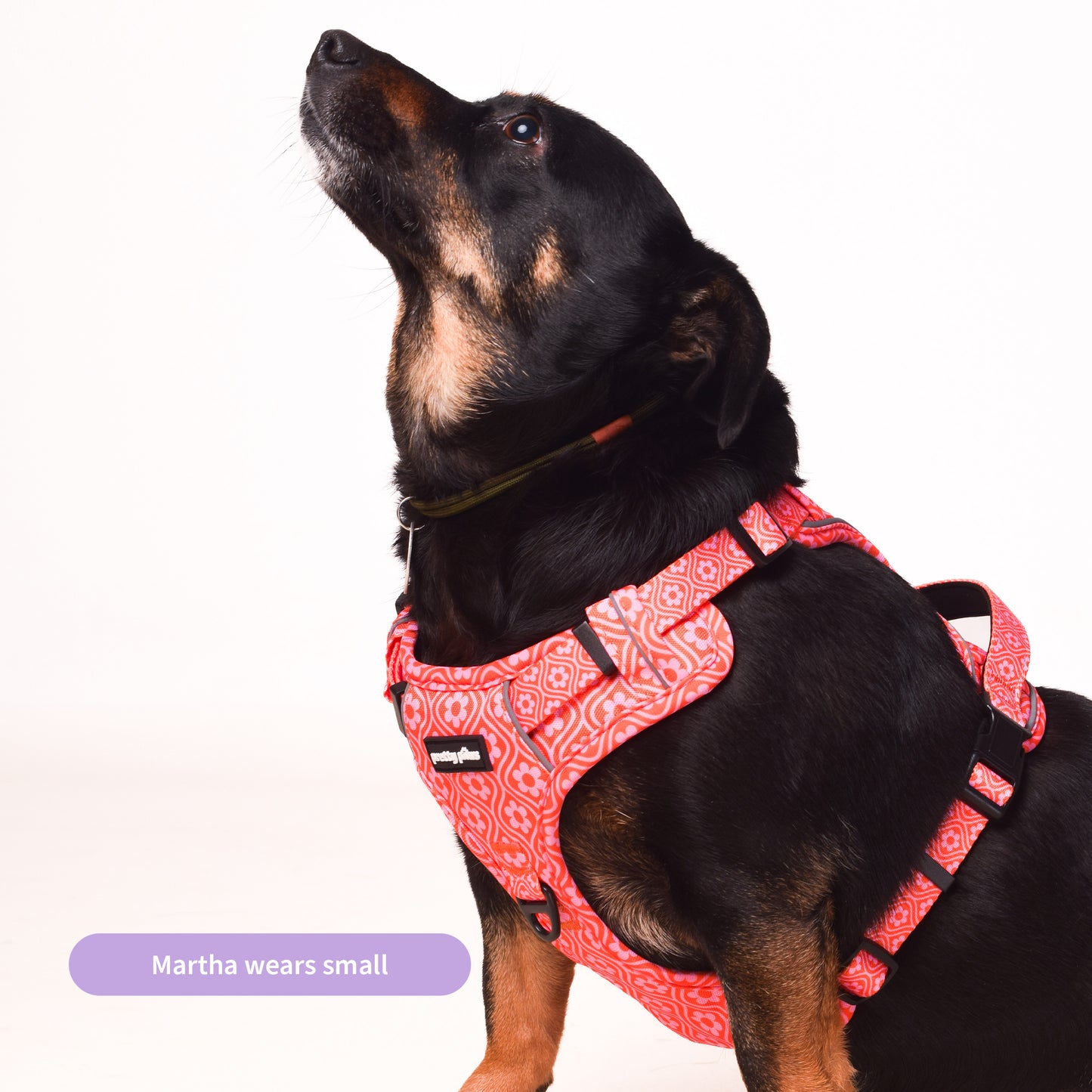 Pink Petal Harness